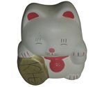 Gato olho fechado