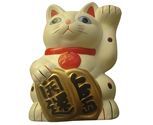 Gato grande