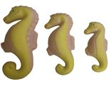 Trio Cavalo Marinho PMG